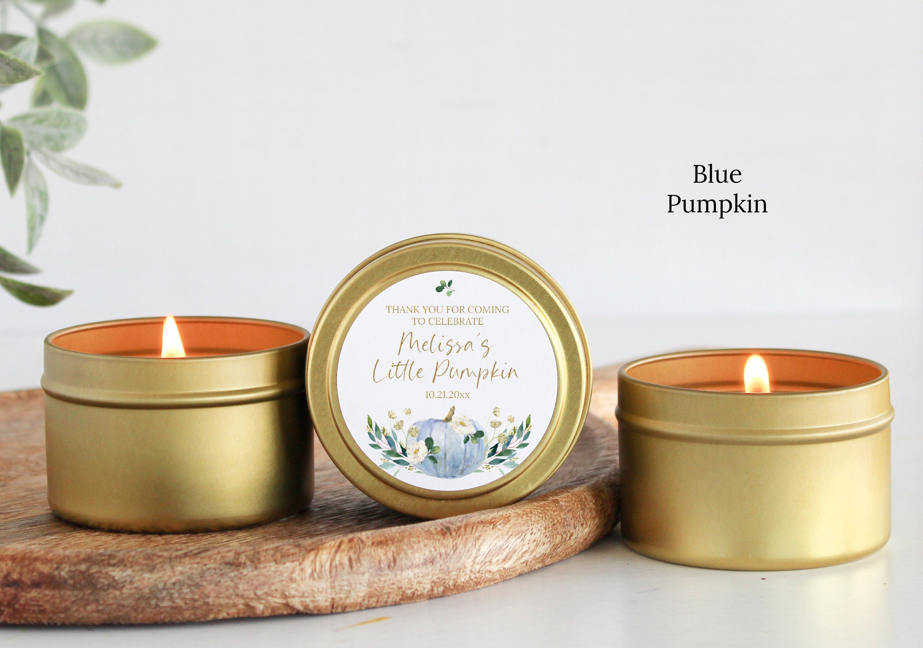 Little Pumpkin Party Tins - Set of 10