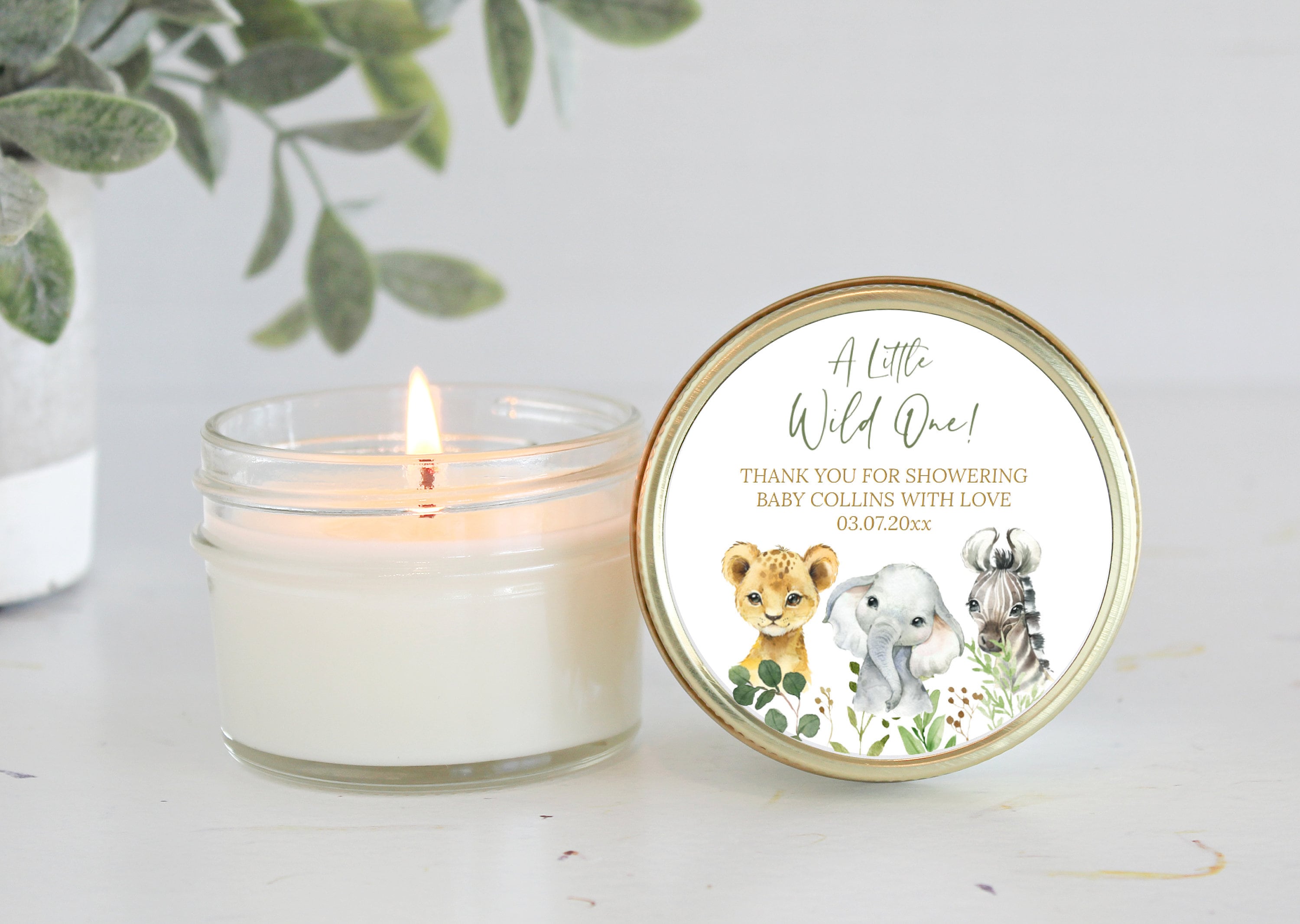 Safari Baby Shower Favors