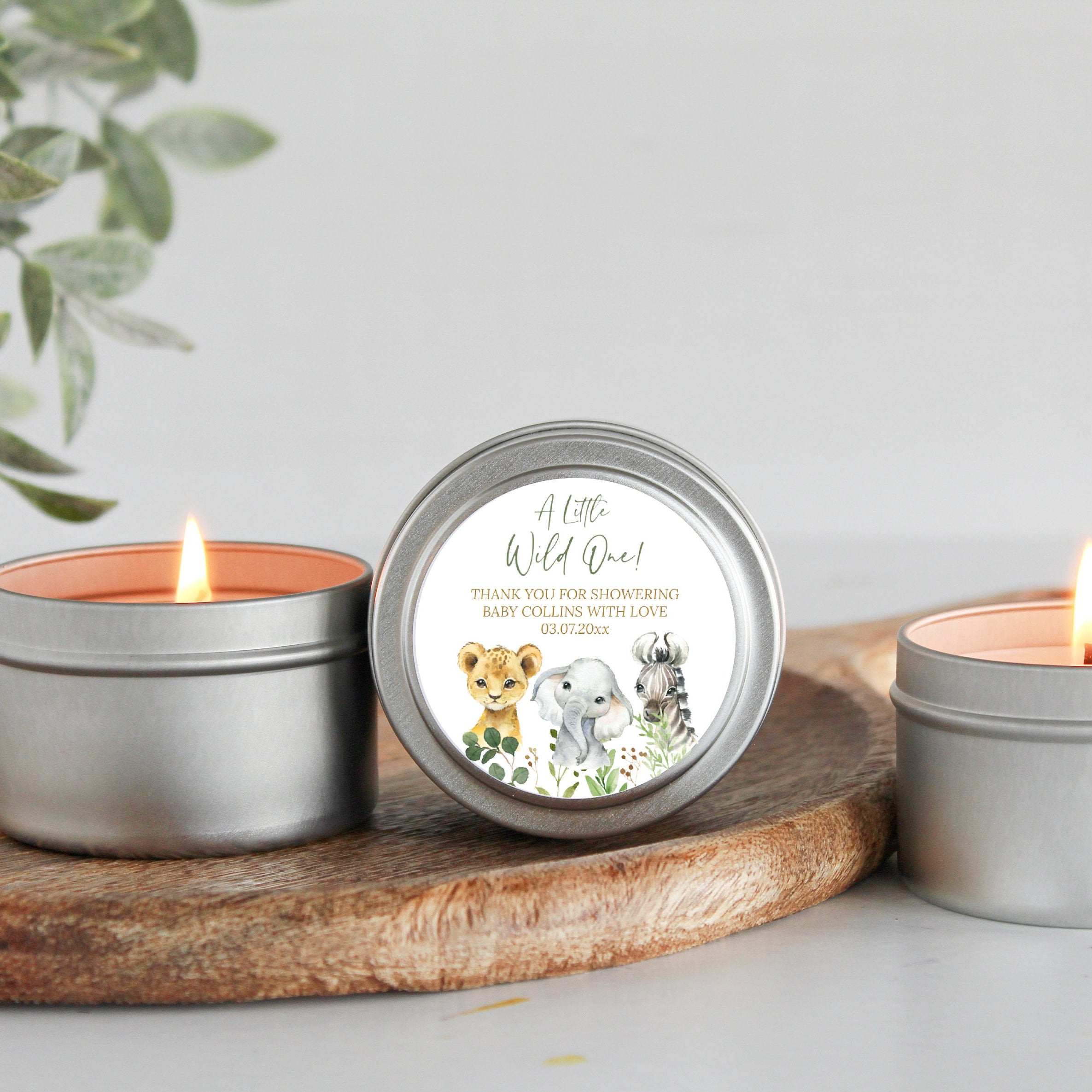 Safari Baby Shower Tins - Set of 10
