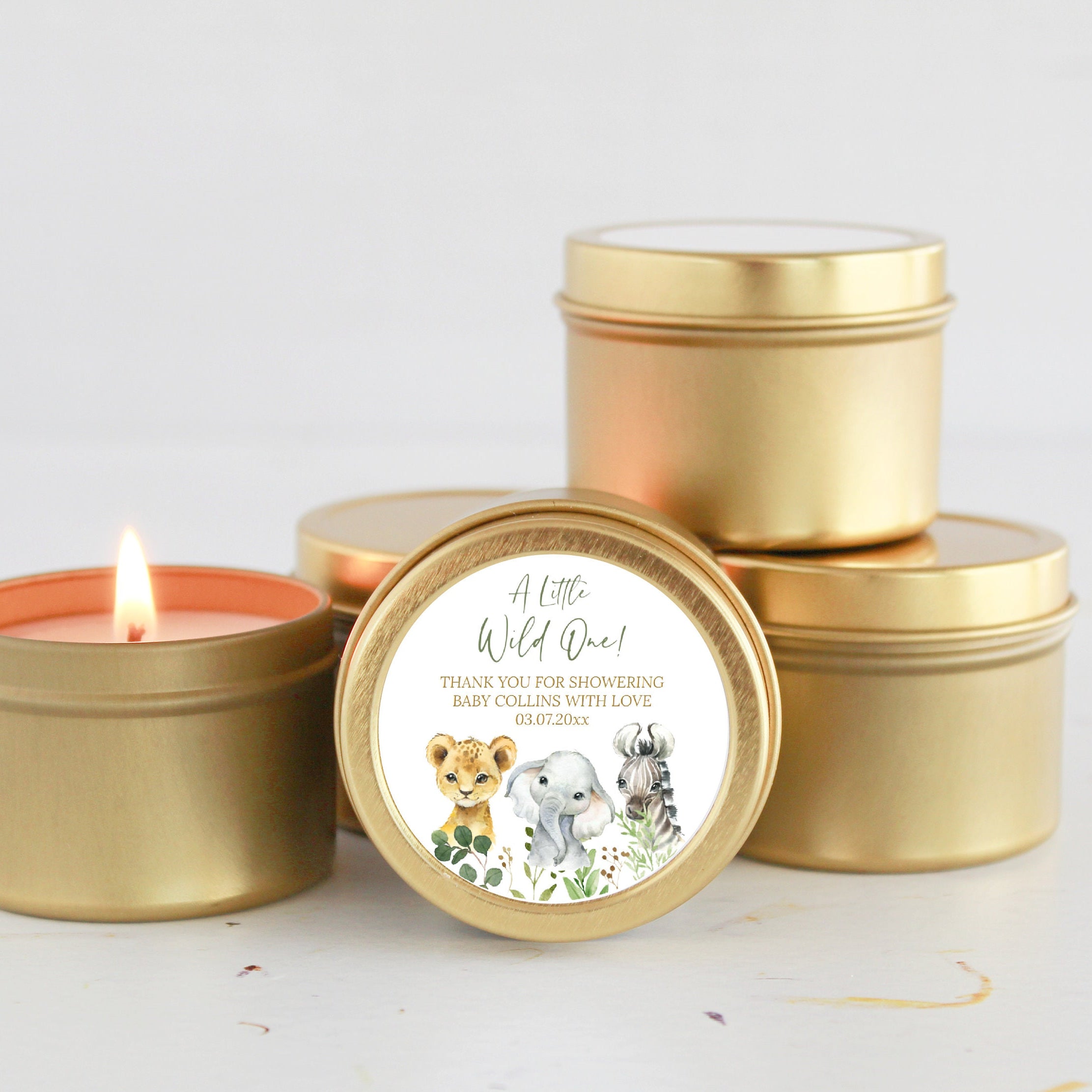 Safari Baby Shower Tins - Set of 10