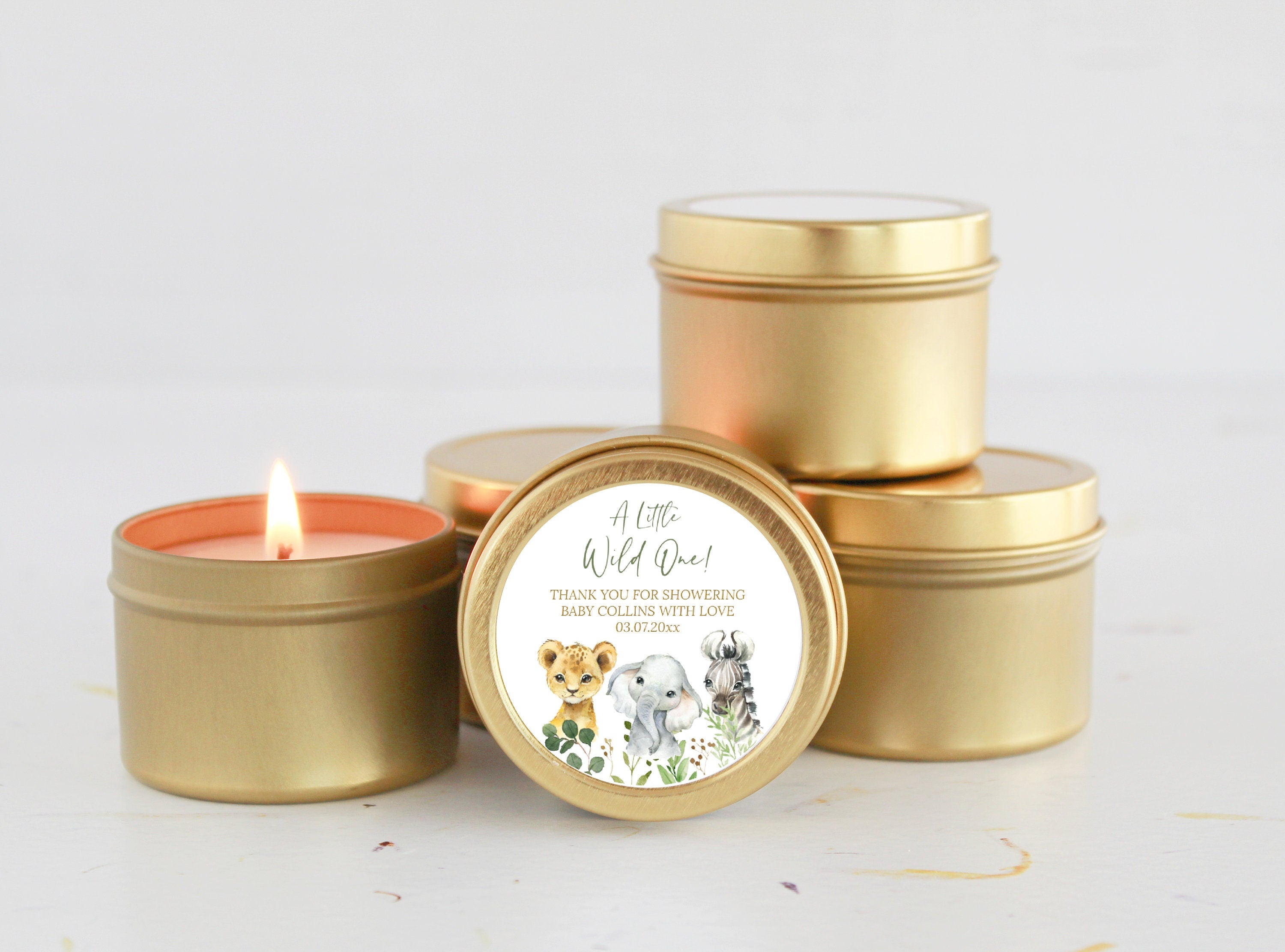 Safari Baby Shower Tins - Set of 10