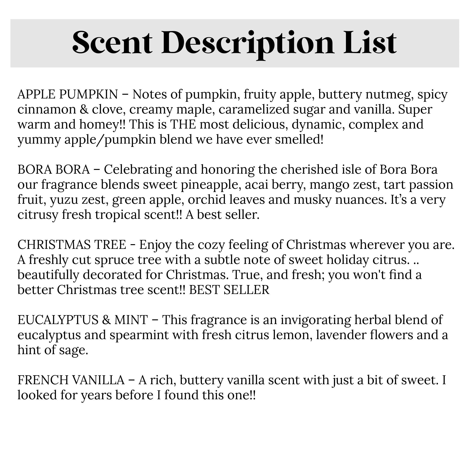 It Takes a Big Heart to Teach Little Minds Tins - Set of 10 - The Dancing Wick