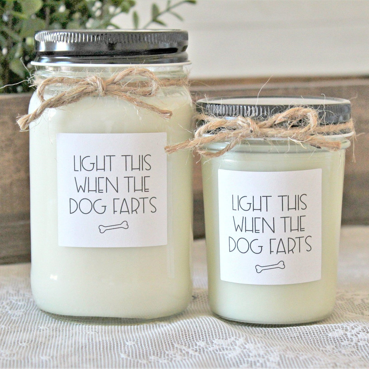 Light This When The Dog Farts Candle - The Dancing Wick