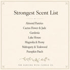 3 Wick Fall Pumpkin Candle - The Dancing Wick