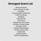 3 Wick Heart Dough Bowl Candle - The Dancing Wick