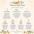 Fall in Love Ambers – Set of 10 - The Dancing Wick