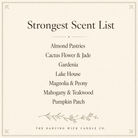 Fall Pure Soy Candle - The Dancing Wick