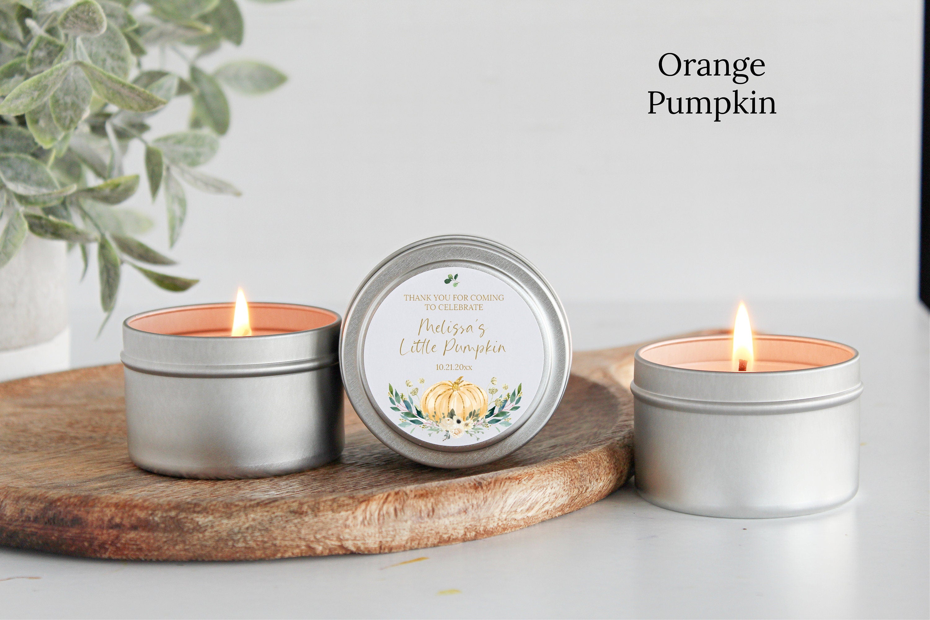 Little Pumpkin Party Tins - Set of 10