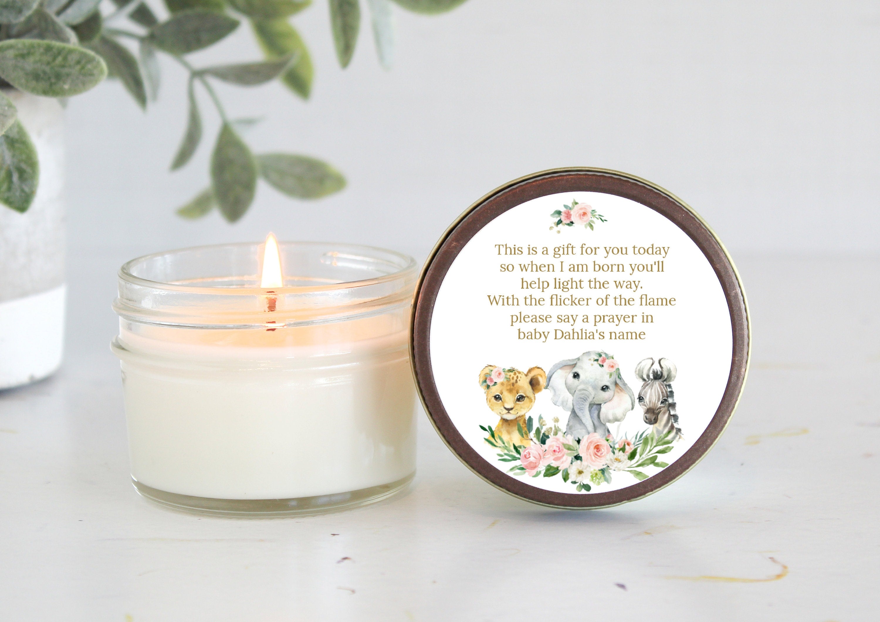 Safari Baby Shower Favors