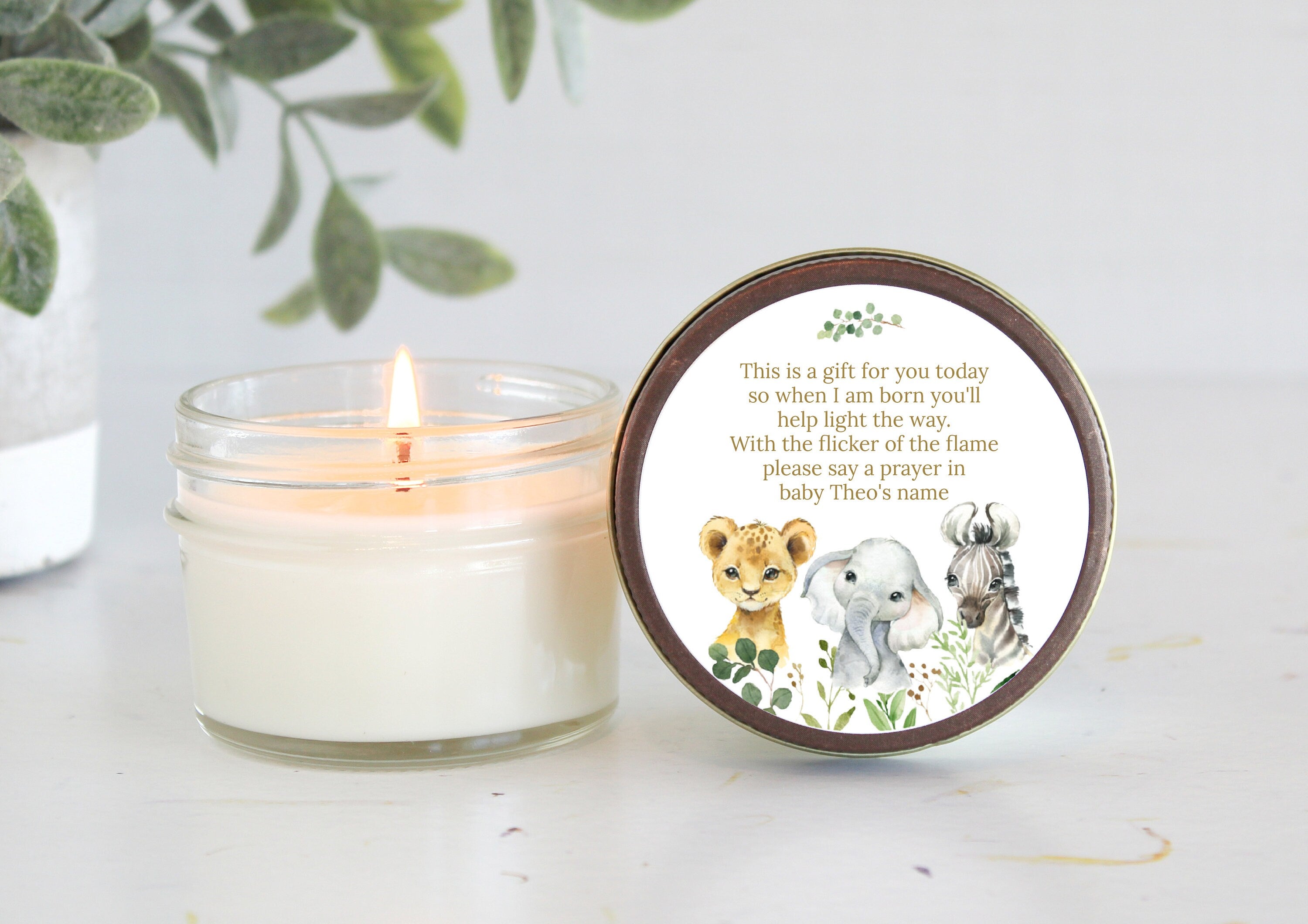 Safari Baby Shower Favors