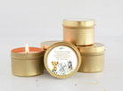 Safari Baby Shower Tins - Set of 10