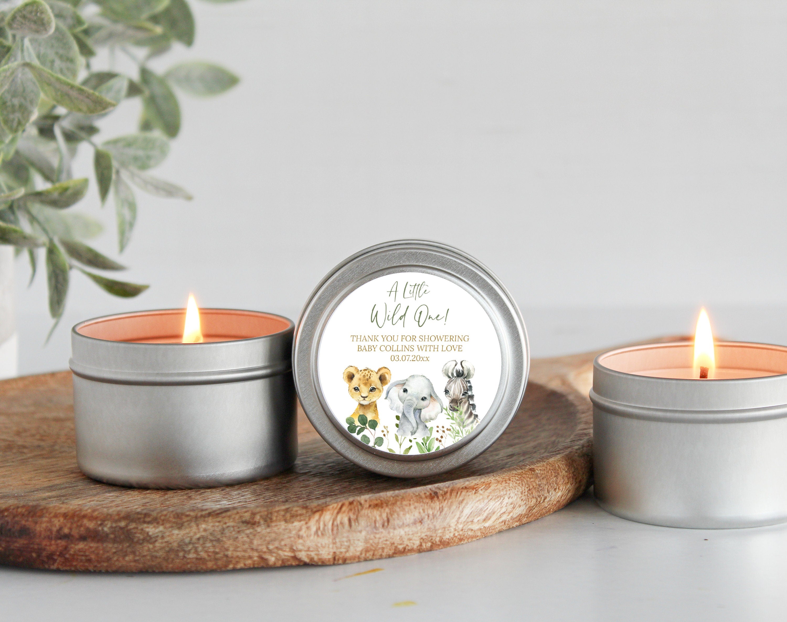 Safari Baby Shower Tins - Set of 10