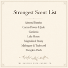 Sampler Pack / 6 - 4 oz Candles - The Dancing Wick