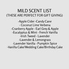 White Pumpkin Fall Candle - The Dancing Wick